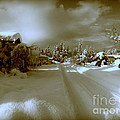 Winter Lane Photograph by Micki Findlay Winter Lane Photograph by Micki Findlay