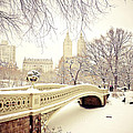 Winter - New York City - Central Park Photograph by Vivienne Gucwa Winter - New York City - Central Park Photograph by Vivienne Gucwa