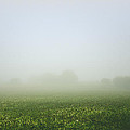 Winters Foggy Morning across the Farmers Field Photograph by Spikey Mouse Photography Winters Foggy Morning across the Farmers Field Photograph by Spikey Mouse Photography