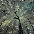 Winter's Spell Painting by Joel Tesch Winter's Spell Painting by Joel Tesch