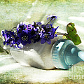 Wonders Happen in the Spring Photograph by Randi Grace Nilsberg Wonders Happen in the Spring Photograph by Randi Grace Nilsberg