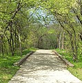 Walking In The Park by Donna Wilson Walking In The Park by Donna Wilson