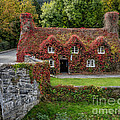 Ye Olde Courthouse by Adrian Evans Ye Olde Courthouse by Adrian Evans