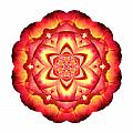 Yellow and Red Rose III Flower Mandala White by David J Bookbinder