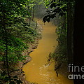 Hidden Cedar SInk Creek Photograph by Stacie Siemsen Hidden Cedar SInk Creek Photograph by Stacie Siemsen