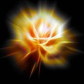 Yellow glowing Rose Digital Art by Lilia D Yellow glowing Rose Digital Art by Lilia D
