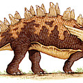 Yingshanosaurus Dinosaur Wood Print by Deagostini/uig