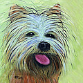 Yorkie Painting by Karen Zuk Rosenblatt Yorkie Painting by Karen Zuk Rosenblatt
