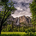 Yosemite Falls Photograph by Cat Connor Yosemite Falls Photograph by Cat Connor