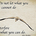 You Can Do It Photograph by Kerri Farley You Can Do It Photograph by Kerri Farley