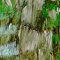 Y - grass Painting by KUNST MIT HERZ Art with heart Y - grass Painting by KUNST MIT HERZ Art with heart