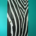 Zebra Stripe Mural - Door Number 1 by Sean Connolly