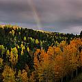 Autumn Rainbow Photograph by Ron Weathers Autumn Rainbow Photograph by Ron Weathers