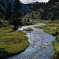 Costilla Creek In Fall Photograph by Ron Weathers Costilla Creek In Fall Photograph by Ron Weathers