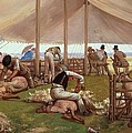  The Sheep Shearing Match Painting by Eyre Crowe