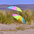 Beach Life by Mark Valentine