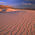 Gypsum Dunes Guadalupe Mountains Photograph by Tim Fitzharris Gypsum Dunes Guadalupe Mountains Photograph by Tim Fitzharris
