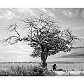 Introspective by Brian Wallace Introspective by Brian Wallace
