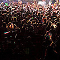Rootwire Papadosio #1 Photograph by PJQandFriends Photography