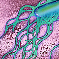 Salmonella Bacterium Photograph by Science Source Salmonella Bacterium Photograph by Science Source
