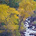 St Vrain Canyon and River Autumn Season Boulder County Colorado Photograph by James BO Insogna St Vrain Canyon and River Autumn Season Boulder County Colorado Photograph by James BO Insogna