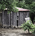 Watercolor Barn by Joan Carroll Watercolor Barn by Joan Carroll