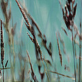 Wild Grasses #1 Photograph by Bonnie Bruno