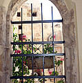 Window of Hope by Munir Alawi Window of Hope by Munir Alawi