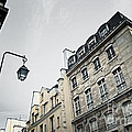 Paris Street by Elena Elisseeva Paris Street by Elena Elisseeva
