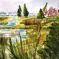 Swamp Sail #2 Painting by Clara Sue Beym