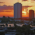 21- Phil Foster Park- Singer Island Photograph by Joseph Keane 21- Phil Foster Park- Singer Island Photograph by Joseph Keane