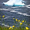 Melting Iceberg by Elena Elisseeva Melting Iceberg by Elena Elisseeva