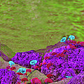 45- Color My World Photograph by Joseph Keane 45- Color My World Photograph by Joseph Keane