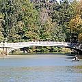 Bow Bridge by Rob Hans Bow Bridge by Rob Hans
