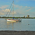 51- Phil Foster Park-Singer Island Photograph by Joseph Keane 51- Phil Foster Park-Singer Island Photograph by Joseph Keane