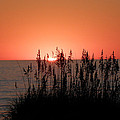 A Beautiful Rise Photograph by Kim Galluzzo Wozniak A Beautiful Rise Photograph by Kim Galluzzo Wozniak