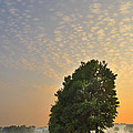 A Country Morning by Brian Fisher A Country Morning by Brian Fisher