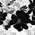 Abstract Flowers 4 Photograph by Kim Galluzzo Wozniak Abstract Flowers 4 Photograph by Kim Galluzzo Wozniak
