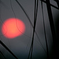 Abstract Sunset by Christine Stonebridge Abstract Sunset by Christine Stonebridge