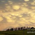 After the Storm Photograph by Dorrene BrownButterfield After the Storm Photograph by Dorrene BrownButterfield