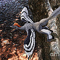 Anchiornis huxleyi Digital Art by Julius Csotonyi Anchiornis huxleyi Digital Art by Julius Csotonyi