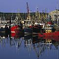 Ardglass, Co Down, Ireland Fishing by The Irish Image Collection Ardglass, Co Down, Ireland Fishing by The Irish Image Collection