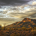 As The Sun Sets by Saija Lehtonen As The Sun Sets by Saija Lehtonen