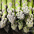 Asparagus 3 by Elena Elisseeva
