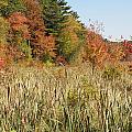 Autumn in New England Photograph by Kim Galluzzo Wozniak Autumn in New England Photograph by Kim Galluzzo Wozniak