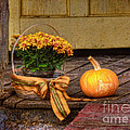 Autumn by Lois Bryan