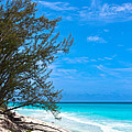 Bimini Beach Photograph by Ed Gleichman Bimini Beach Photograph by Ed Gleichman