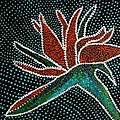 Bird of Paradise by Kelly Nicodemus-Miller