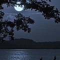 Blue Bay - A Tropical Paradise, The Moon Glancing Thru The Leaves And Reflecting Off The Bay by William Bartholomew Blue Bay - A Tropical Paradise, The Moon Glancing Thru The Leaves And Reflecting Off The Bay by William Bartholomew