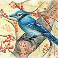 Blue Jay with berries by Tatiana Fess